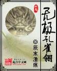 孔雀翎 cover 封面