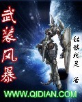 武裝風暴 cover 封面