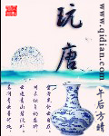 玩唐 cover 封面