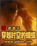 穿越時空的蝴蝶 cover 封面
