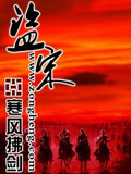 盜宋 cover 封面
