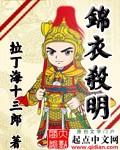 錦衣殺明 cover 封面