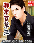 都市百草王 cover 封面