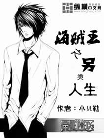 海賊王之另類人生 cover 封面