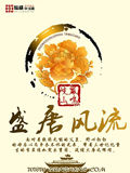 盛唐風流 cover 封面