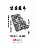 極品賬房 cover 封面