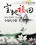 寶地福田 cover 封面