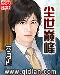 塵世巔峰 cover 封面