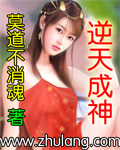 逆天成神 cover 封面