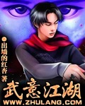 武意江湖 cover 封面