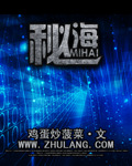 秘海 cover 封面