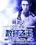 網(wǎng)游之散打之王 cover 封面
