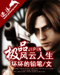 極品風云人生 cover 封面