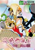 風(fēng)臨海賊王 cover 封面