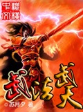 武法武天 cover 封面