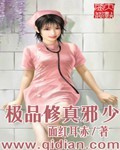 極品修真邪少 cover 封面