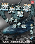 迷失在地球的外星綜合艦 cover 封面