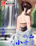 極品大小老婆 cover 封面