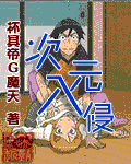 次元入侵 cover 封面