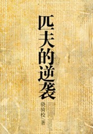 匹夫的逆襲 cover 封面