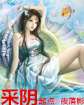 采陰 cover 封面