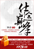 仕途巔峰 cover 封面