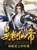 無極仙帝 cover 封面