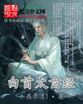 白首太玄經 cover 封面