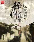 靜州往事 cover 封面