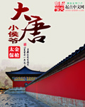 大唐小侯爺 cover 封面