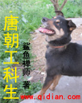 唐朝工科生 cover 封面