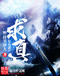 求真 cover 封面