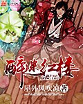 醉迷紅樓 cover 封面