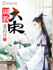 調(diào)教大宋 cover 封面