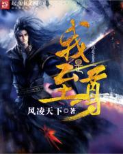 我是至尊 cover 封面
