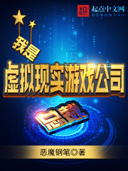 我是虛擬現實游戲公司總裁 cover 封面