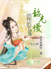 韶光慢 cover 封面