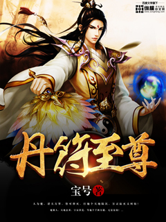 丹符至尊 cover 封面