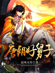唐朝好舅子 cover 封面