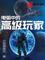 電弧中的高級(jí)玩家 cover 封面