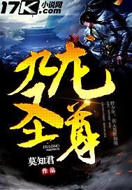九龍圣尊 cover 封面