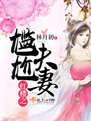 紅樓之尷尬夫妻 cover 封面