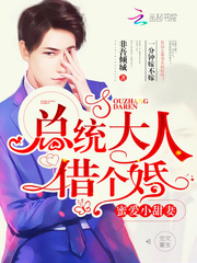 總統大人，借個婚！