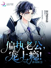 偏執(zhí)老公，寵上癮！ cover 封面