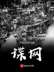 諜網(wǎng) cover 封面