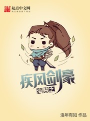 海賊之疾風劍豪 cover 封面