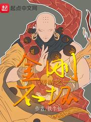 網游之金剛不壞 cover 封面