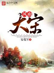 風(fēng)雨大宋 cover 封面
