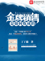 金牌銷售是如何煉成的 cover 封面
