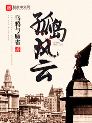 孤島風(fēng)云 cover 封面